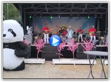 Hot News allround band