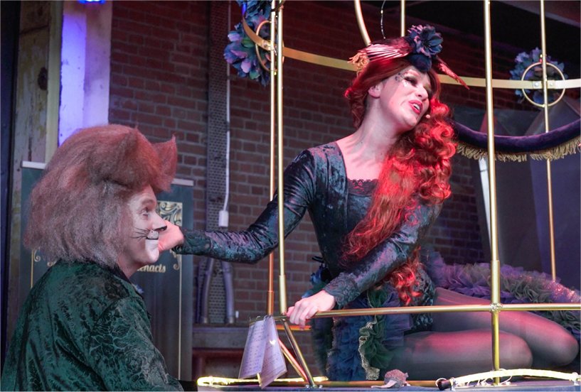 Nachtegaal en de Kat, www.kwekel-evenementen.nl